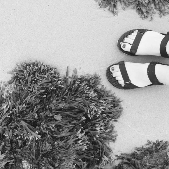 Meet your Posher, Amy - Picture 1 of 1